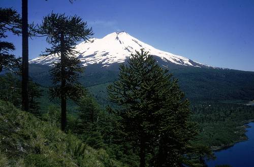 Volcán Llaima, foto: Pisco